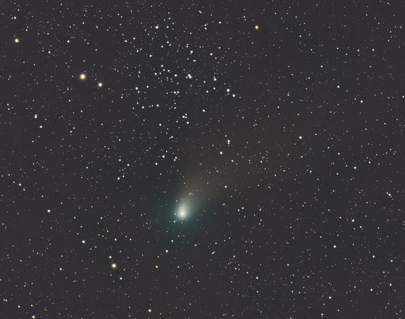 Komet C/2022E3 bei NGC1647