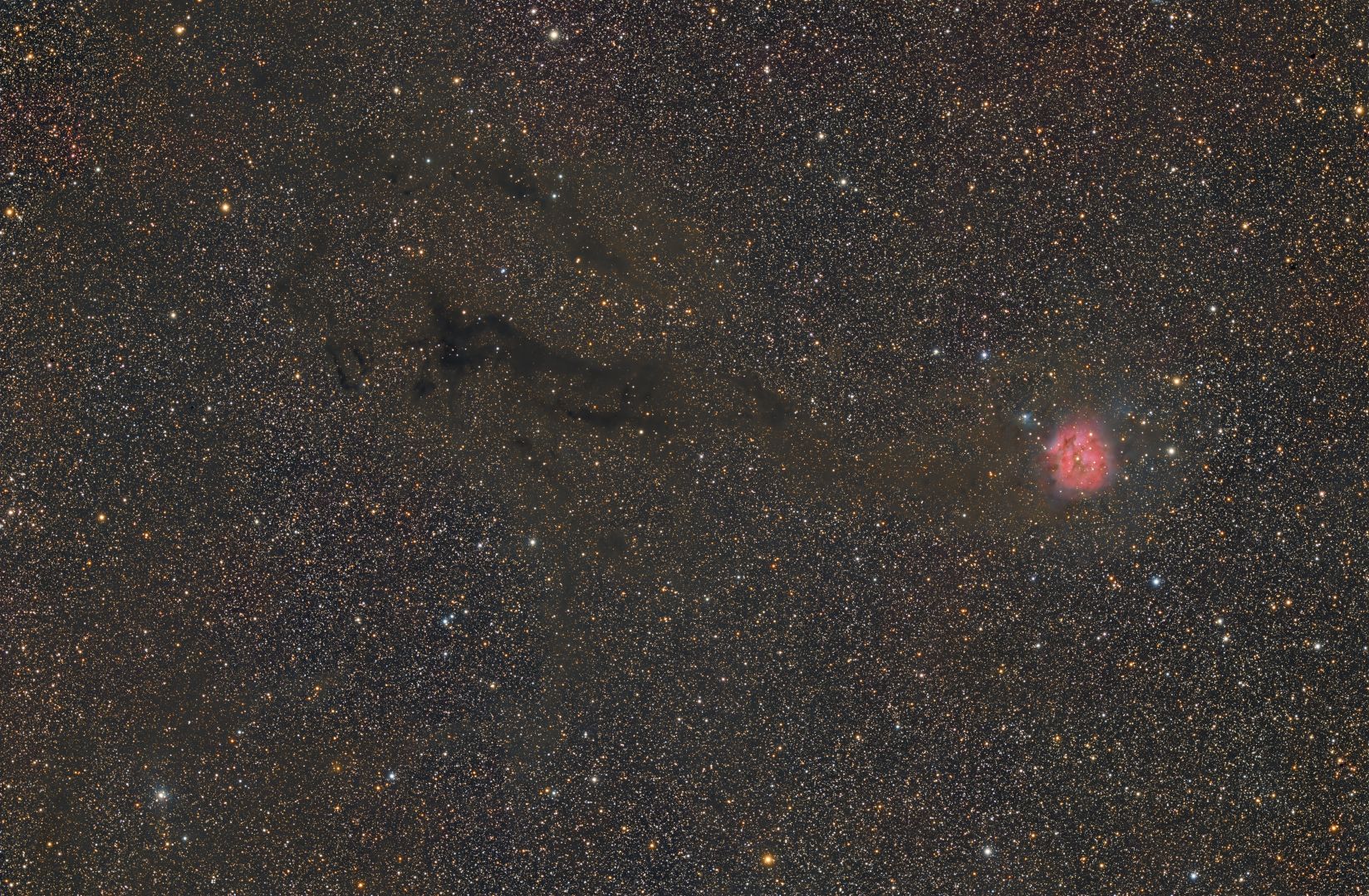 LDN 1045 IC 5146.jpg