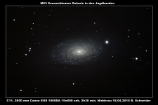 Sonnenblumen Galaxie M63