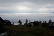 20181015_102654.jpg