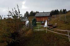 20181015_102734.jpg