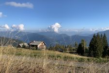 IMG_6351.JPG