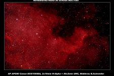 NGC 7000 Nordamerika Nebel